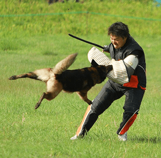 大学生・社会人